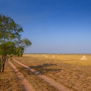 Roebuck Plains