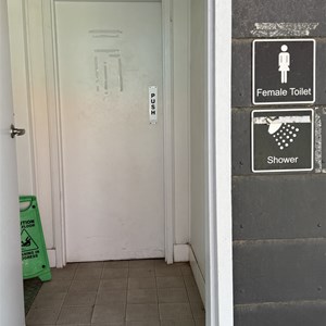 Ampol (Showers)
