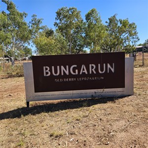 Bungarun