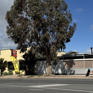 Penong Hotel