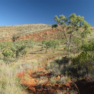 Gorge walk May 2010