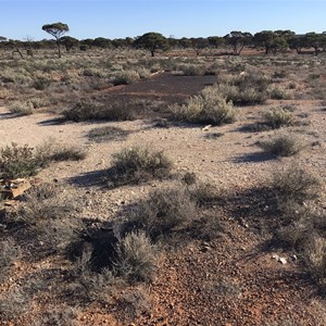 Old Camp Site