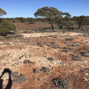 Old Camp Site