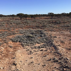 Old Camp Site