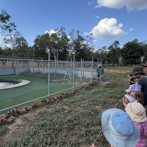 Katherine Farmstay