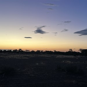 Free Bush Camp
