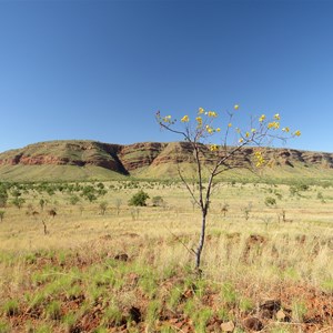 Morning view - June 2013