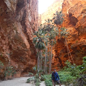 Piccaninny Gorge Trek