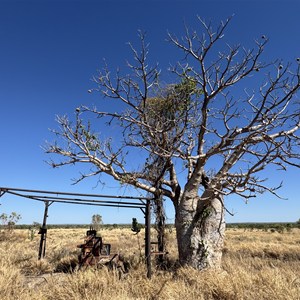 Old Ord River Homestead