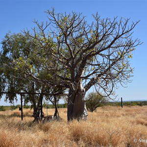 Old Ord River Homestead