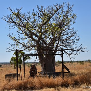 Old Ord River Homestead