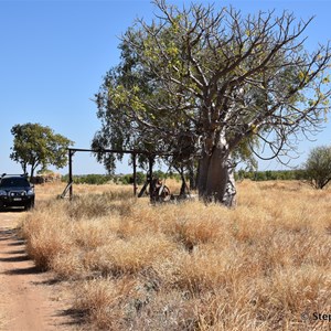 Old Ord River Homestead