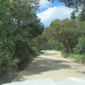 Hardpacked at halfway mark