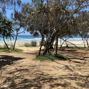 Teewah Beach Camping - Zone 4 North