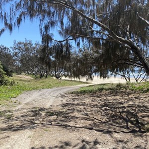 Teewah Beach Camping - Zone 6 North