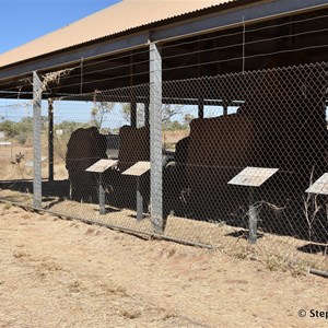 Old Halls Creek 