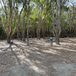 Campsite 4