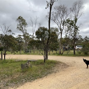 Wirra Campground