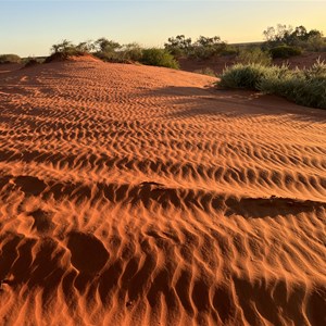Bullara Station Stay