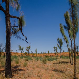 Great Sandy Desert