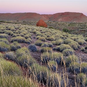 North Dromedary