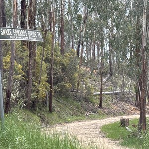 Snake Edwards Divide Track (4WD)