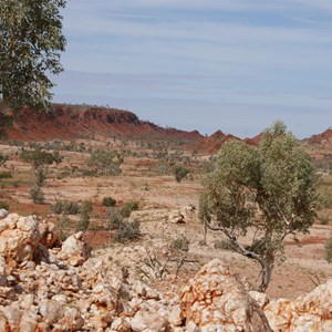 Looking east along Miles Ridge