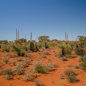 Little Sandy Desert