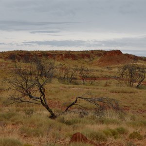 Murraba Range (southern portion near Redcliff pound)