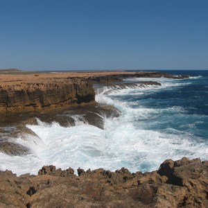 At the Blowholes