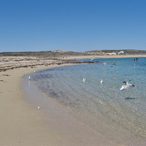 Beach at Pt. Quobba