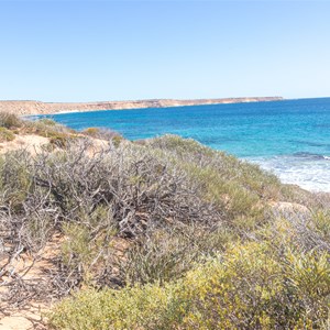 View of Cape Inscription from Turtle Bay