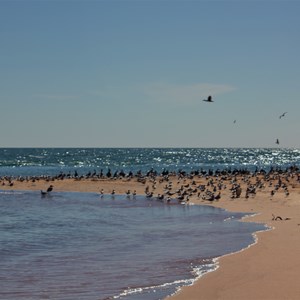 Cape Peron North WA