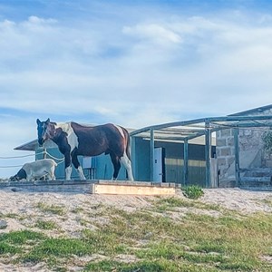 Dirk Hartog Island Lodge & Homestead Campground