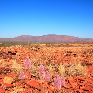 Mt Augustus