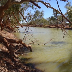 Cattle Pool