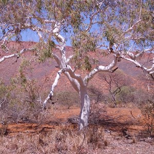 Countryside around Burringurrah