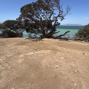 Black Springs Overflow Campground