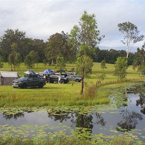 Noosa Equestrian & Camping Centre Tandur