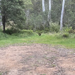 Pikes Flat Campground- Alternate