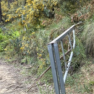 Gate - seasonal closure