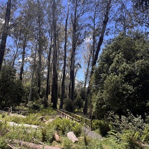Douglas Reserve Walk