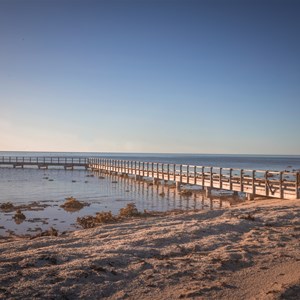 Hamelin Pool