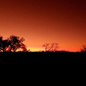 Hamelin Outback Station Stay