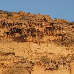 Worm fossils in the cliffs