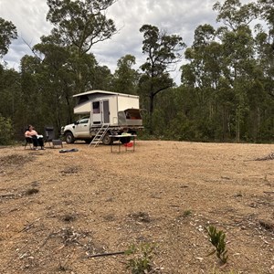 Free camp state forest