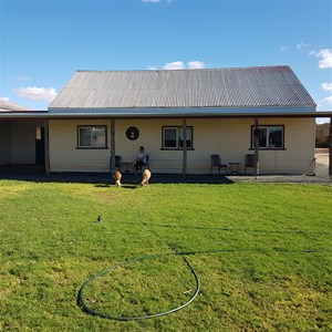 Nallan Station 2022