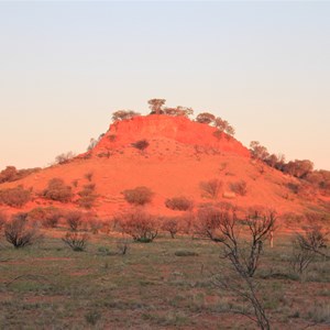 Charlies Knob in the Young Range