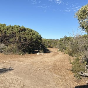 Big Yangie Bay Campground