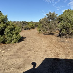 Big Yangie Bay Campground